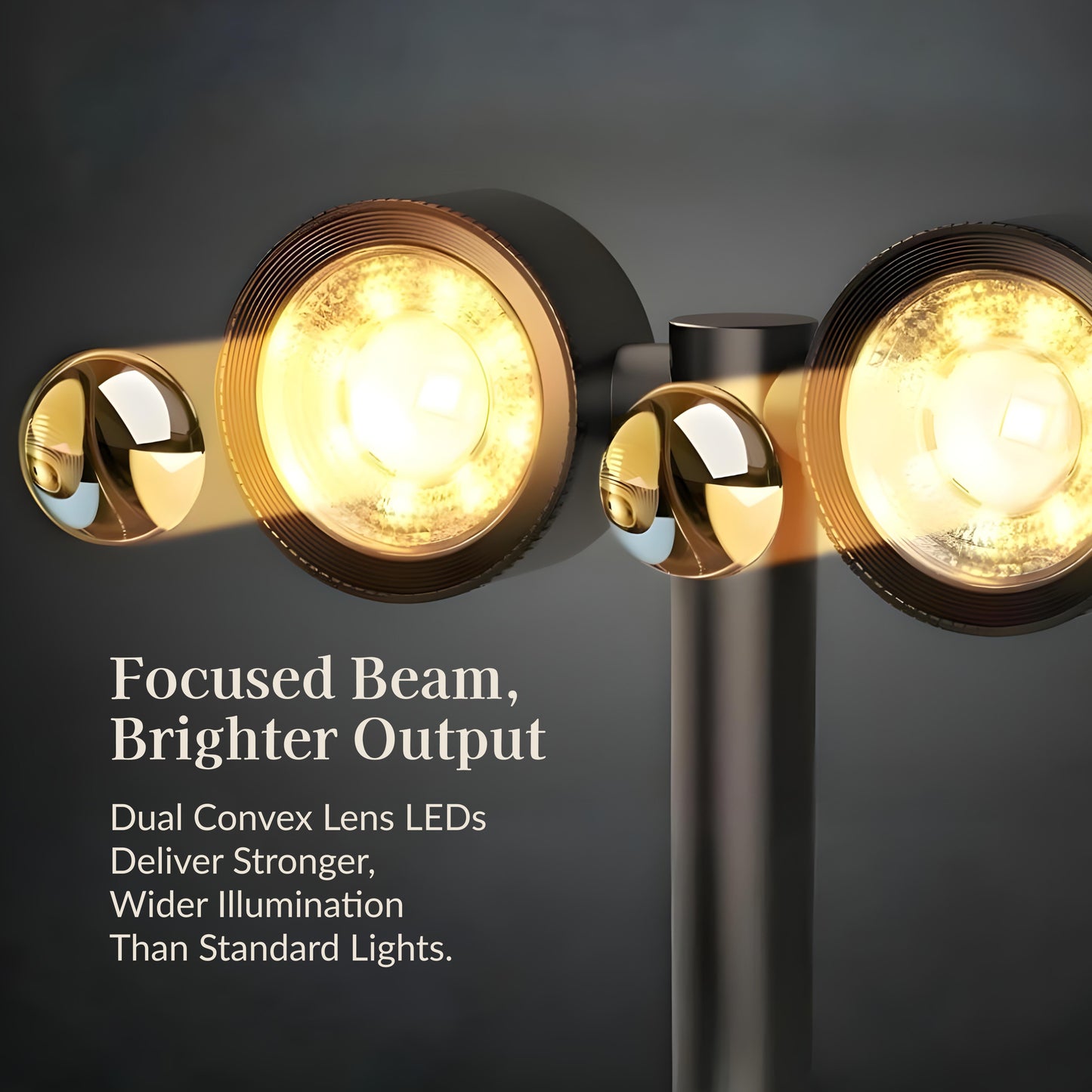 DualBeam Solar Powered Landscape Spotlight