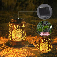 Owl Projection