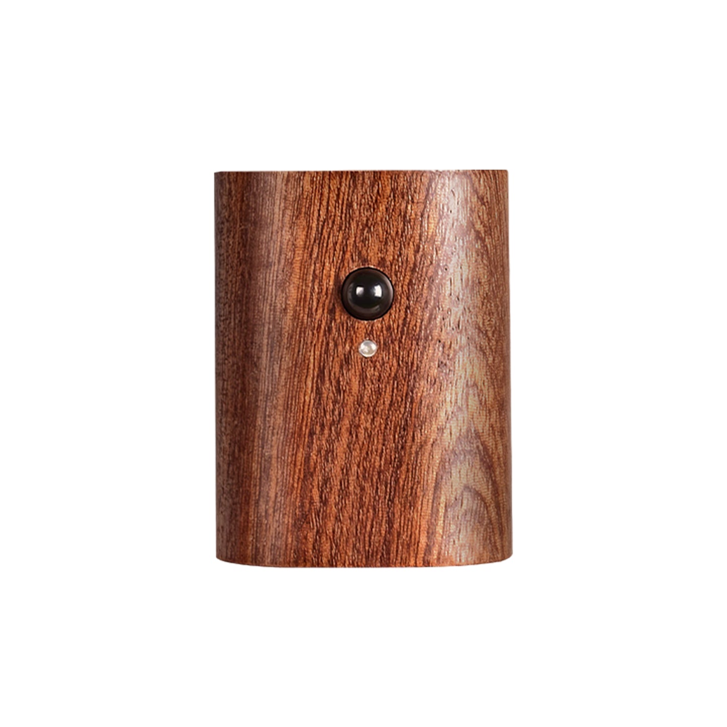 Walnut-Curve Motion Sensing Wall Sconce
