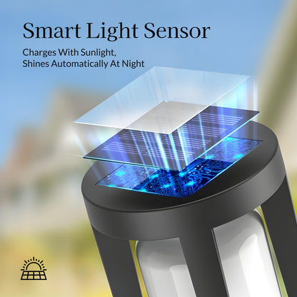 Caged Solar Powered Path Light