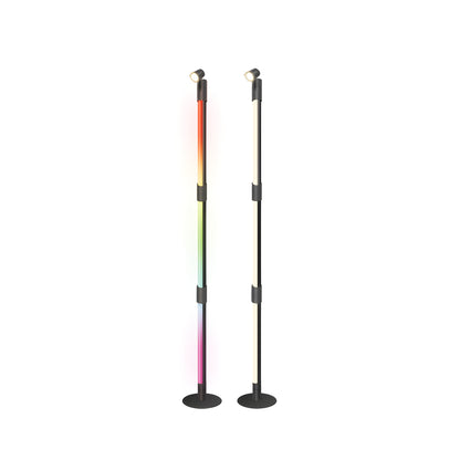 Slim Smart Lighting Floor Lamp